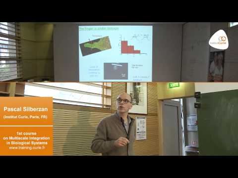 Pascal Silberzan: 'Collective