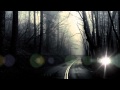 Eddie Vedder And Neil Young - Long Road (lyrics)