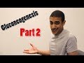Gluconeogenesis part 2  