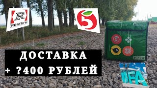видео: ДОСТАВКА 27 АВГУСТА УФА/ ПЯТЁРОЧКА И РОСТИКС/ + ?400 РУБЛЕЙ картинка: ДОСТАВКА 27 АВГУСТА УФА/ ПЯТЁРОЧКА И РОСТИКС/ + ?400 РУБЛЕЙ