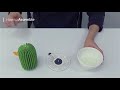 Piozio aroma diffuser cactus  how to assemble and clean short ver