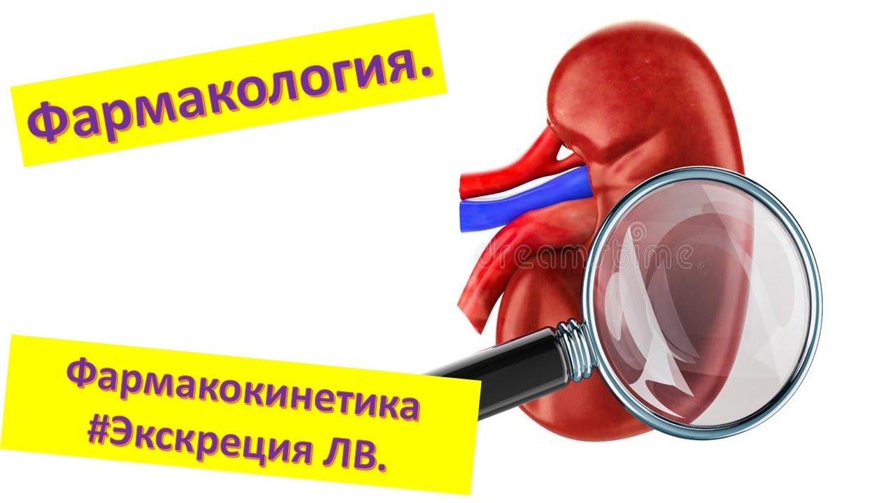 #7 Экскреция лекарственных веществ