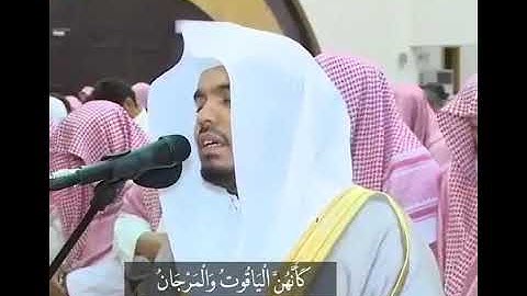 " كأنهن الياقوت والمرجان " بصوت القارئ _ الشيخ ياسر الدوسري