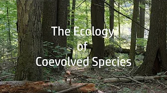 Tom Wessels: The Ecology of Coevolved Species