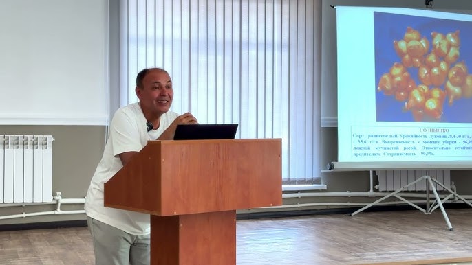 Қыздар карталарда жеңілгеннен кейін сиқырды сорып жатыр (бейне)