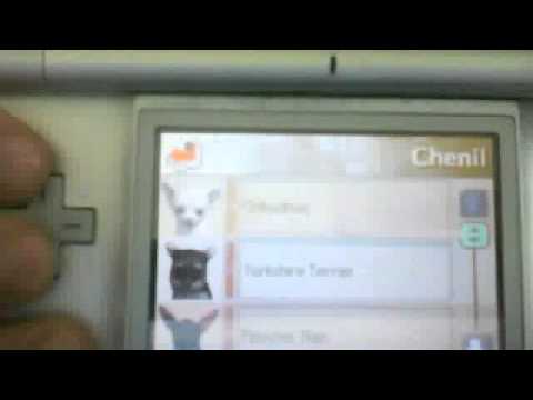 comment dresser son chien nintendogs