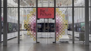 BigPicture - 10th Anniversary | California Academy of Sciences