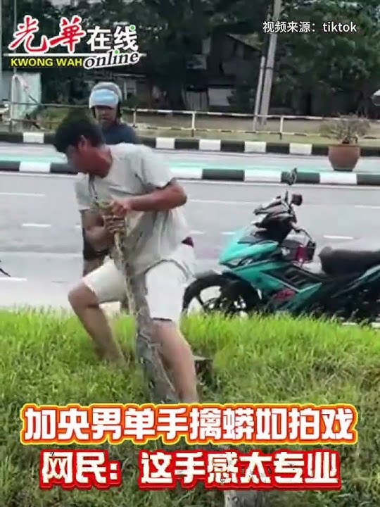 加央男子单手擒蟒蛇  网民：这手感太专业
