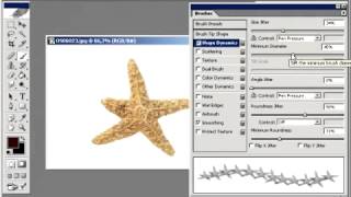 Photoshop Dersleri Ozel Bir Firca Olusturmak