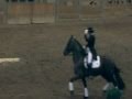 MSU Stallion Expo Friesian Exhibition part 3 ~ Firefly costume and Dressage presentation