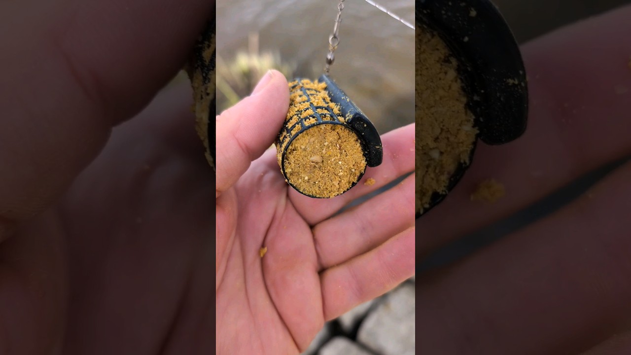 Futterkörbe richtig aufriggen! 