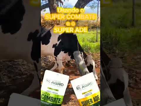 Uma REFORMA SANITÁRIA e NUTRICIONAL pro SEU GADO! #gado #pecuaria #fazenda #agro #nutriçãoanimal