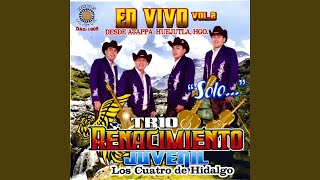 Video thumbnail of "Trio Renacimiento Juvenil - El LLorar"