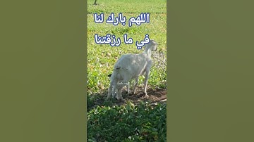 قرآن كريم #قرآن #راحة_نفسية #تلاوة_خاشعة #اكسبلور #المغرب #morocco #fyp #اكسبلور