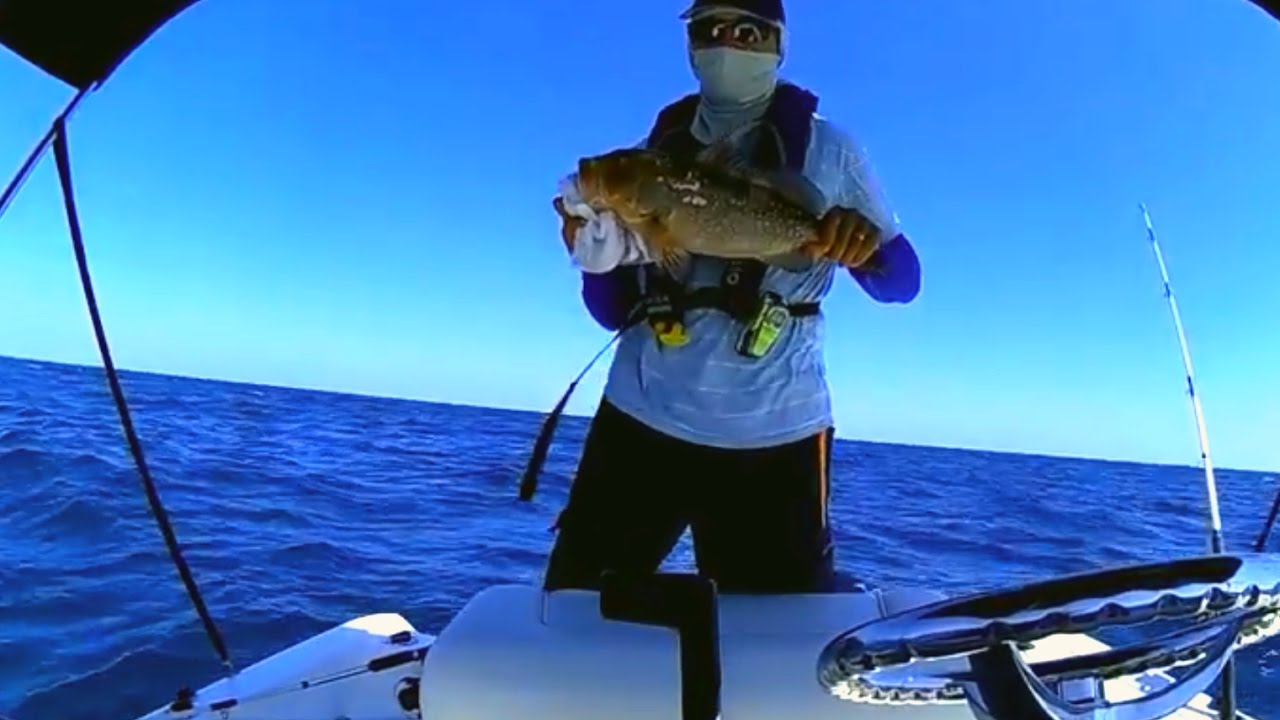 Clearwater Reef Fishing Gulf of Mexico Florida YouTube