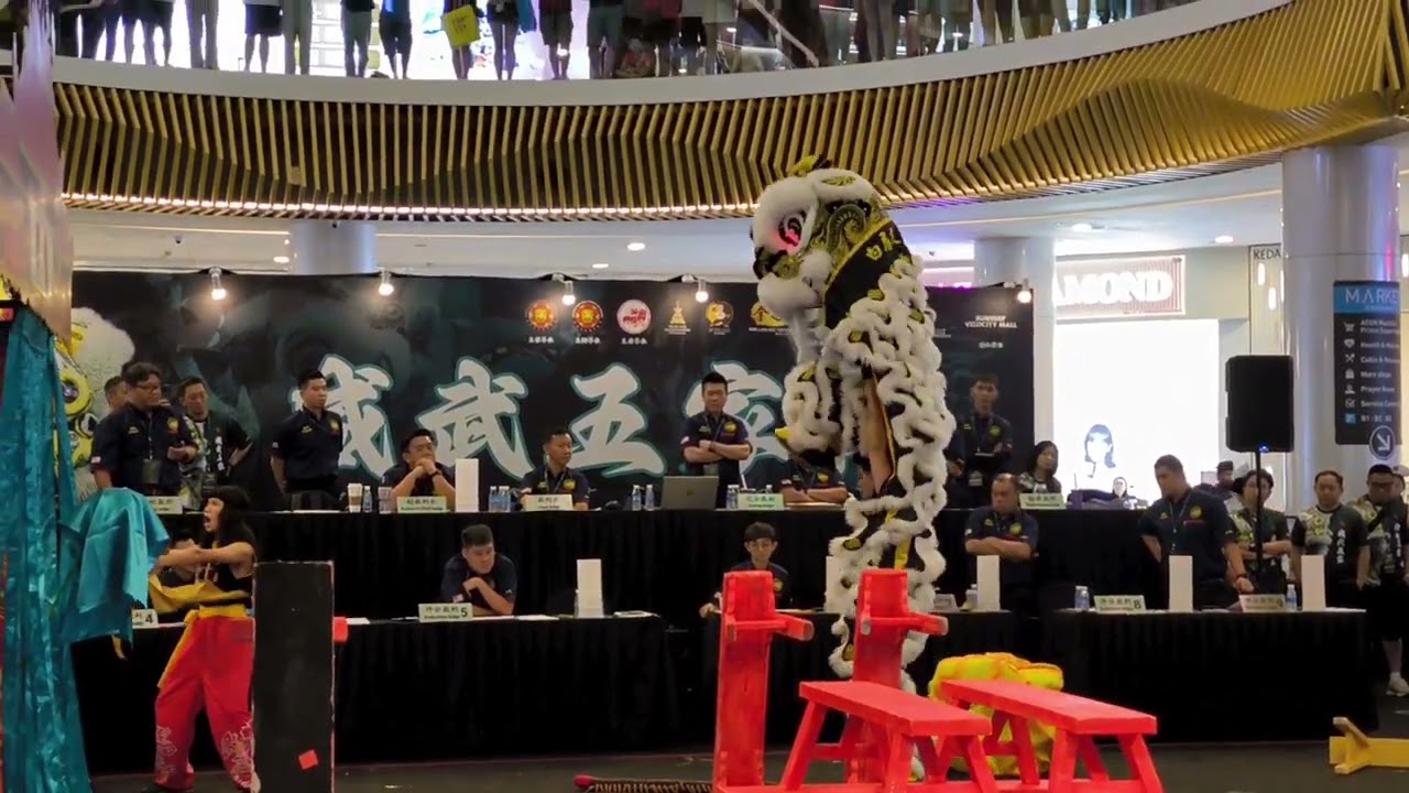 Lion Dance Performance 
