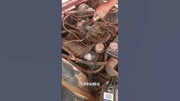 New intro? Let me know in the comments on what you think