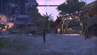 The Elder Scrolls Online - Background Texture Glitch