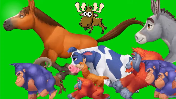 Animal stampede | Animals stampede green green | Zoo animals green screen | Green screen animals