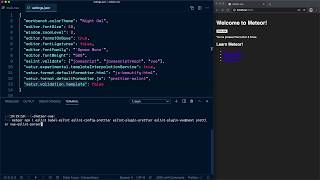 03: [Meteor   Vue] VSCode: configuring ESLint, Prettier and Vue