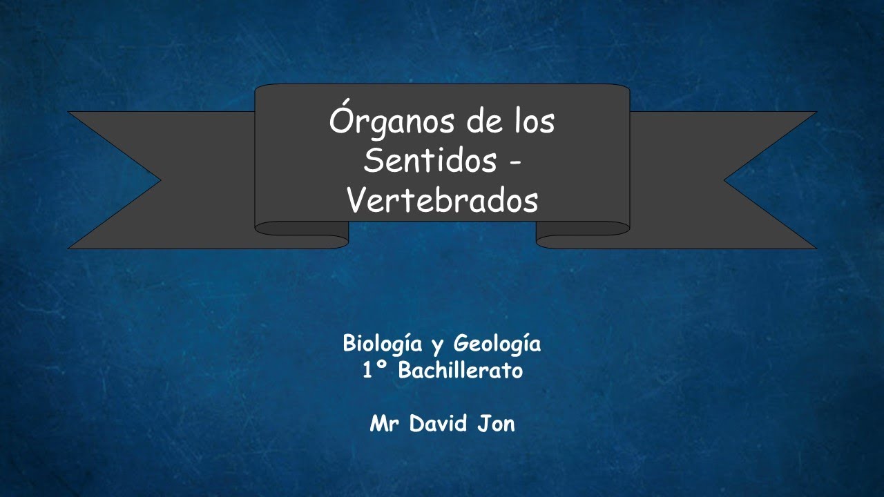 Organos de los Sentidos en Vertebrados