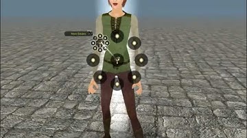 WIP: Skin mesh NPC and problems with the method