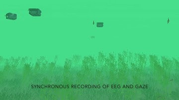 Virtual environment for aquatic species monitoring using human-swarm interaction