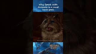 Why Speak with Animals is a MUST HAVE Spell (Part 8) - Baldur&#39;s Gate 3