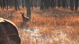 Rattling At Its Best- Powder River Outfitters