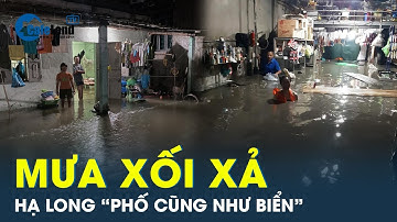 Mưa lớn tấn công TP.Hạ Long: Ngập lụt và sạt lở đất gây thiệt hại nặng nề  | Cafeland