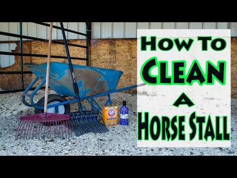 How To Clean A Horse Stall