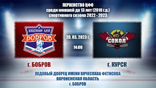 20.03.2023 г. ХК &quot;БОБРОВ&quot; (г. Бобров) - ХК &quot;СОКОЛ&quot; (г. Курск)