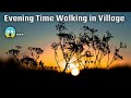 Evening time walking in village  sachin pandey vlogs vlog viral viral.