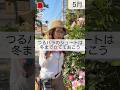 つるバラのシュートは冬まで立てておこう　#相原バラ園 #バラ #バラ園 #バラ栽培