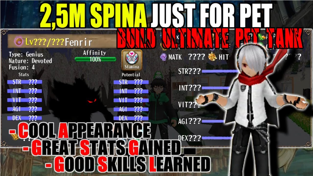 Build 2,5M Ultimate Tank Pet Toram Online Gamble No Risk YouTube