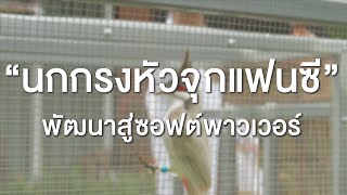 นกกรงหัวจุกแฟนซีพัฒนาสู่ซอฟต์พาวเวอร์ screenshot 2