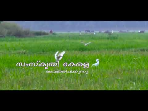 Onam   pulikali
