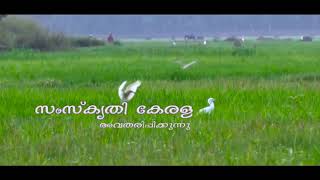 Onam   pulikali