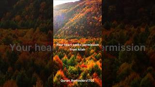 islam islamic goviral likee dailyreminder motivation allah allahuakbar muhammadhoblos