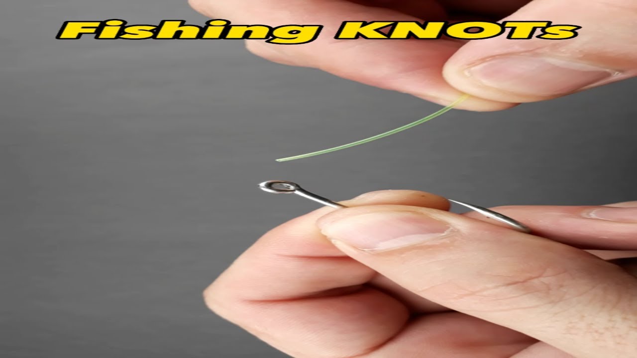 How to tie strongest fishing hook knot? shorts Fishing