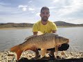 Pesca de Carpas en Alcántara