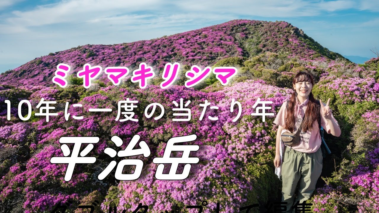 【くじゅう連山】2025年当たり年！ミヤマキリシマ満開の絶景平治岳へ！