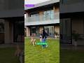 Luxury Villas for Sale in Karjat’s Premier Gated Community – 2, 3 &amp; 4 BHK Options Available