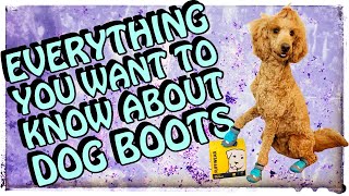 Everything You Need to Know About Dog Boots | Best Boots for Dogs