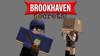 Me and my cousin show you 2 new brookhaven secrets