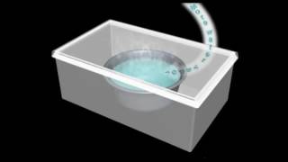 Equilibrium in a Closed Container Demonstration