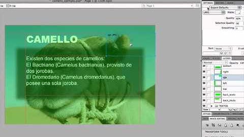 dividir, optimizar y exportar en fireworks