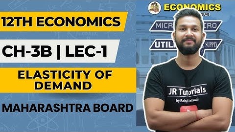 12th Economics | Chapter 3B | Elasticity of Demand | Lecture 1 | Maharashtra Board |