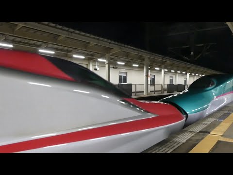 くりこま高原　はやぶさ109号盛岡行き入線　2021/03/05