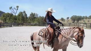 Reata Ranch- Quick Training Tips